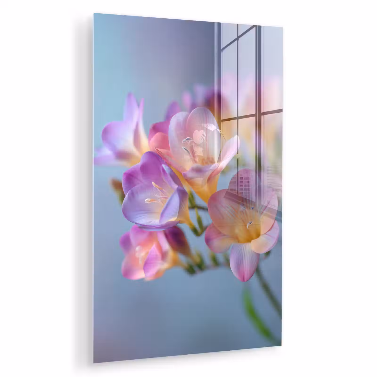 Glas schilderij - Bloemen - Paars - Overloop - Meeldraden — 1