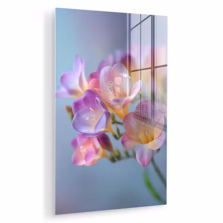 Glas schilderij - Bloemen - Paars - Overloop - Meeldraden — 1