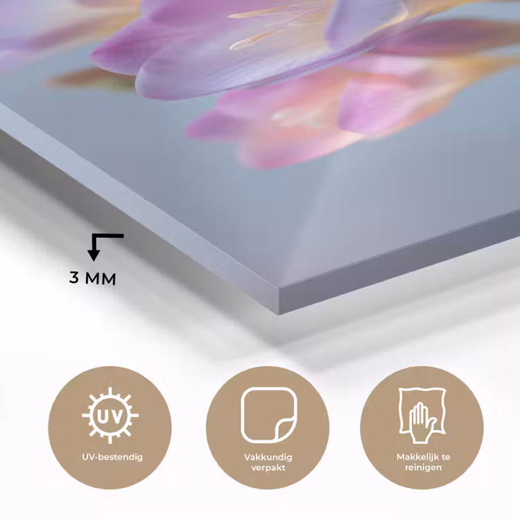 Glas schilderij - Bloemen - Paars - Overloop - Meeldraden — 3