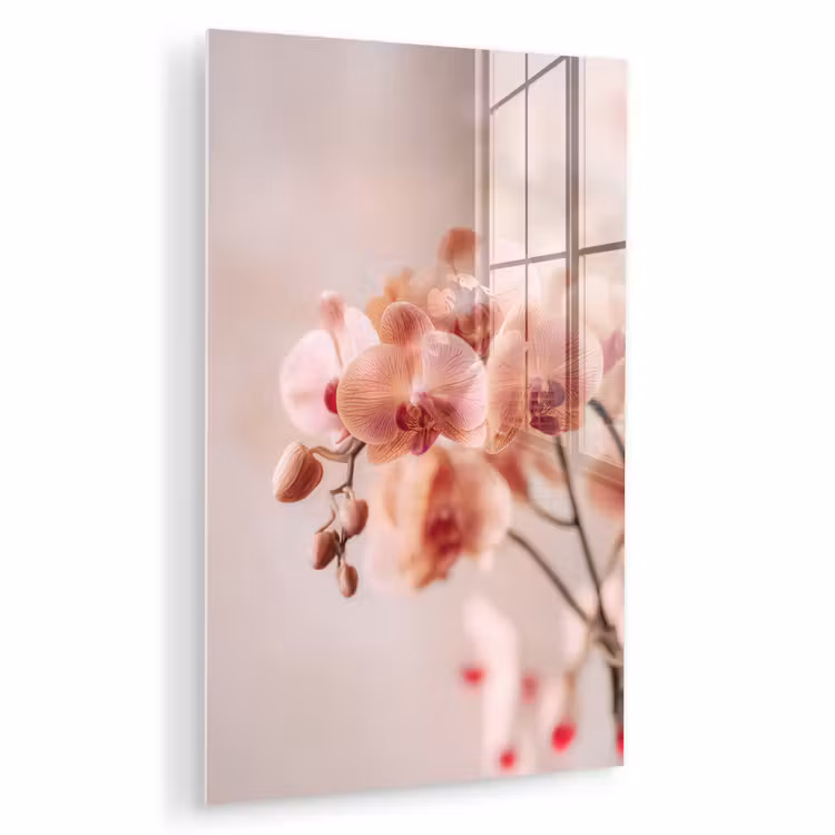 Glas schilderij - Orchidee - Bloemen - Roze - Bloemblaadjes — 1