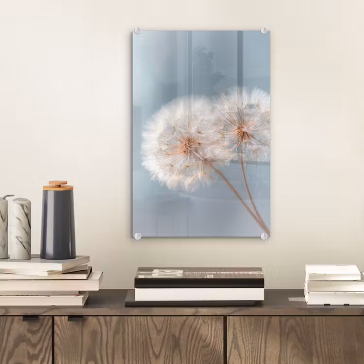 Glas schilderij - Paardenbloemen - Pluisjes - Wit — 2