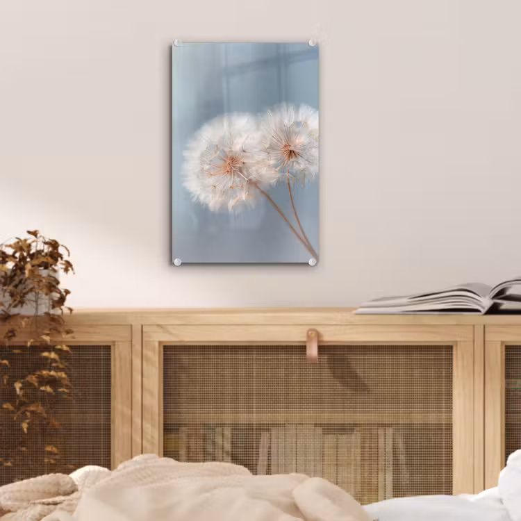 Glas schilderij - Paardenbloemen - Pluisjes - Wit — 5