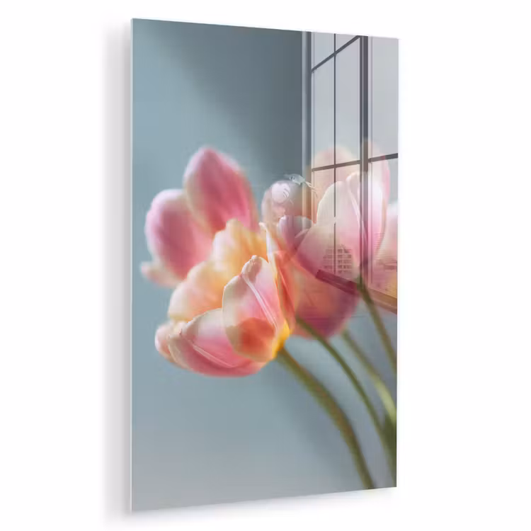 Glas schilderij - Tulpen - Roze - Stelen — 1