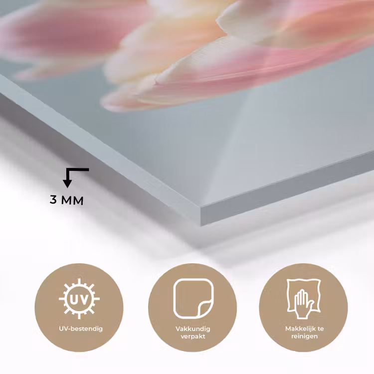 Glas schilderij - Tulpen - Roze - Stelen — 3