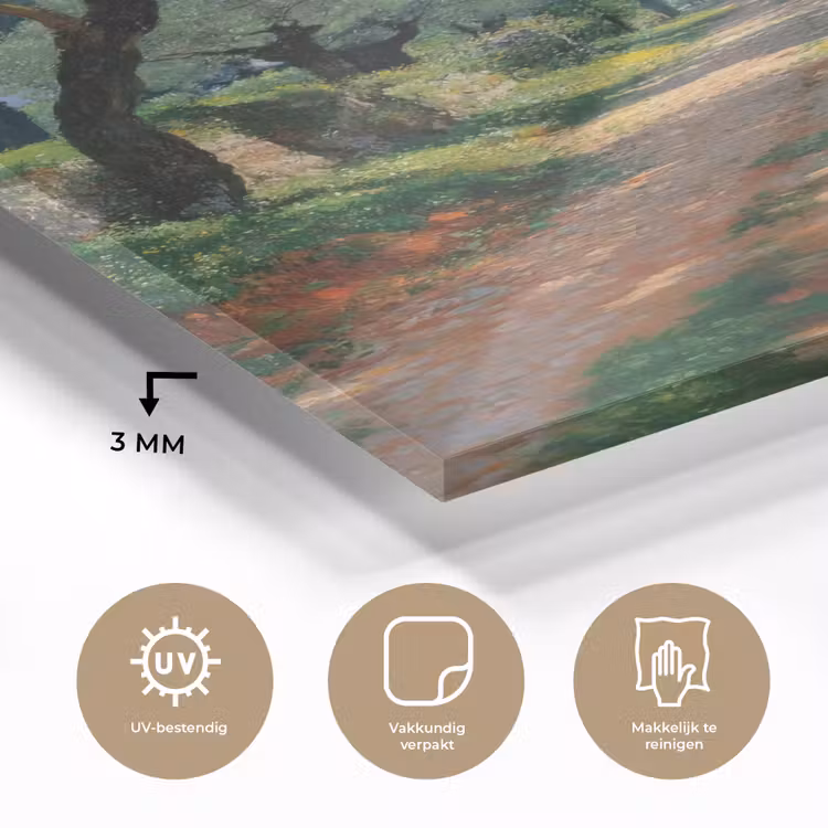 Glas schilderij - Pad - Bomen - Schaduw - — 3
