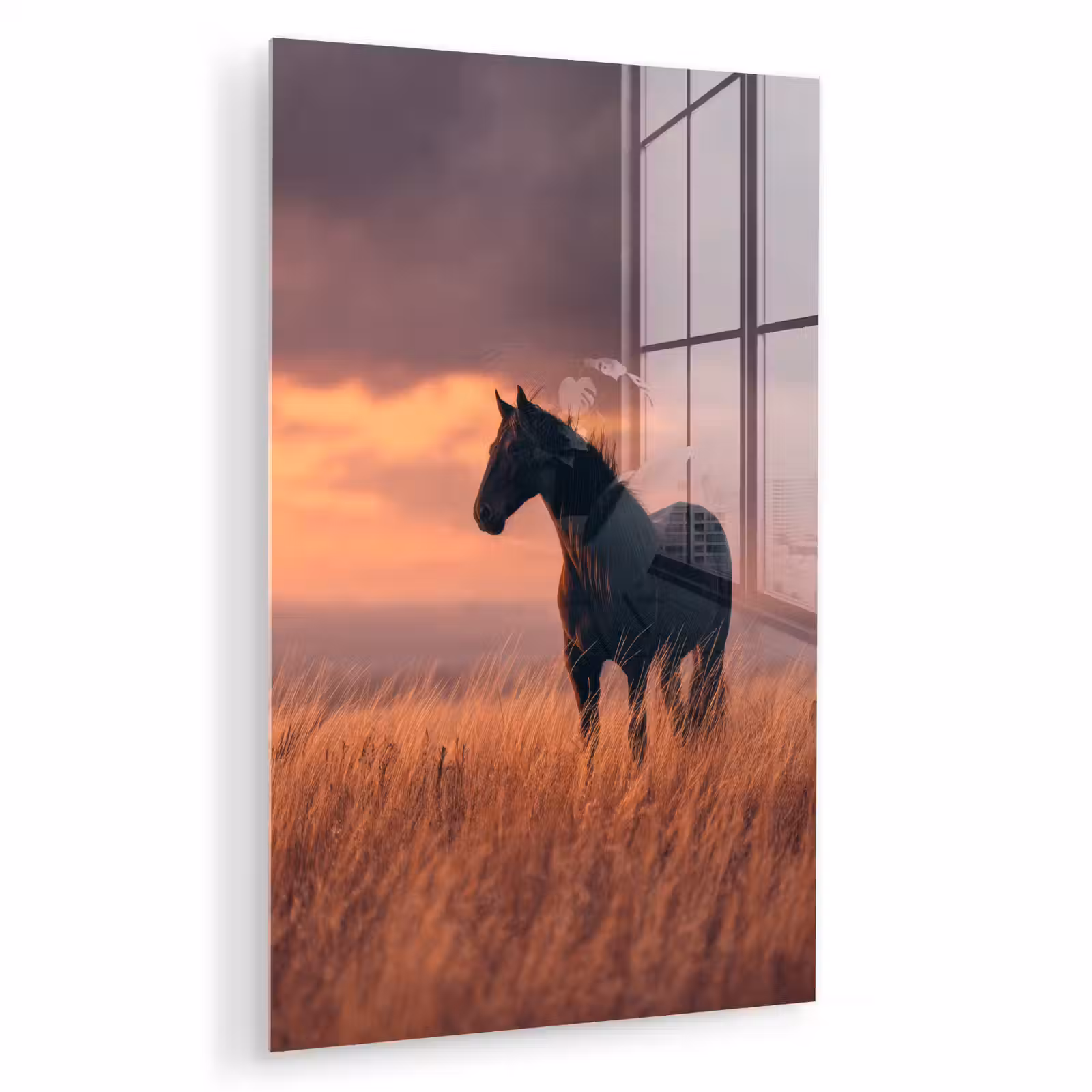 Glas schilderij - Paard - Wolken - Open veld — 1