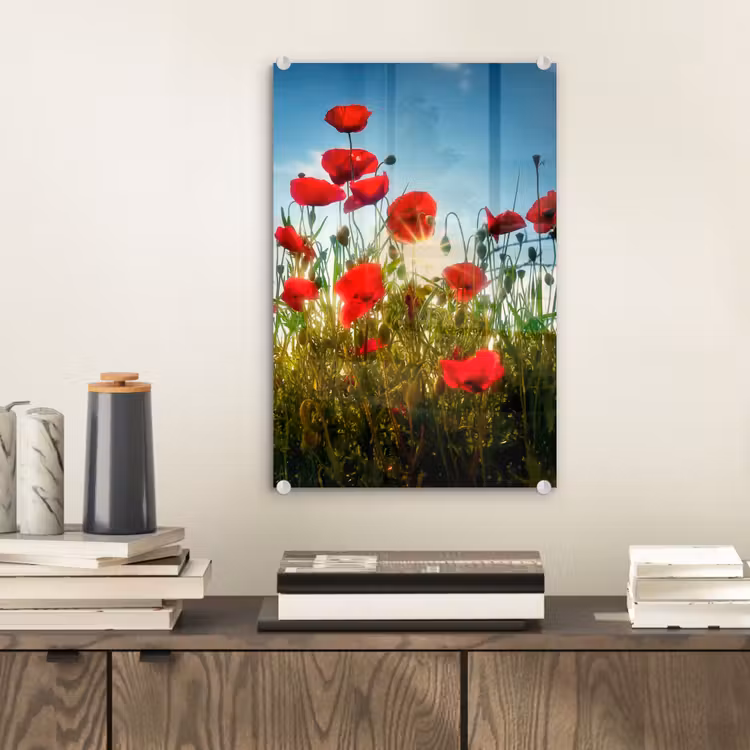 Glas schilderij - Klaprozen - Toscane - Zon - Rood - Blauw — 2