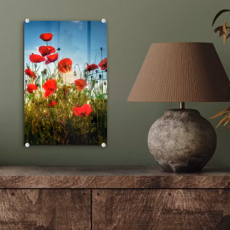 Glas schilderij - Klaprozen - Toscane - Zon - Rood - Blauw — 4