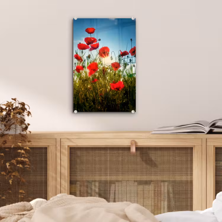 Glas schilderij - Klaprozen - Toscane - Zon - Rood - Blauw — 5