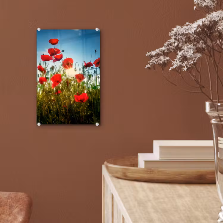 Glas schilderij - Klaprozen - Toscane - Zon - Rood - Blauw — 6