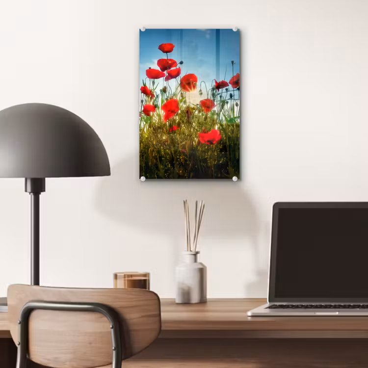 Glas schilderij - Klaprozen - Toscane - Zon - Rood - Blauw — 7