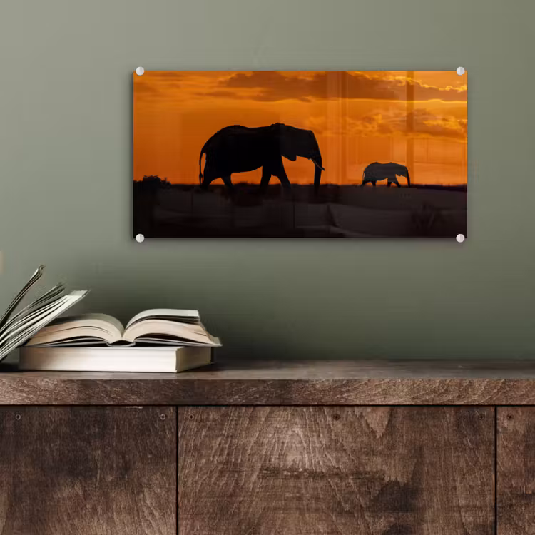 Glas schilderij - Olifanten - Savanne - Zonsondergang — 4