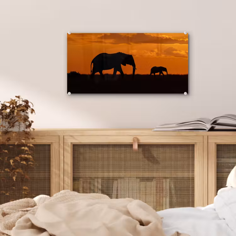 Glas schilderij - Olifanten - Savanne - Zonsondergang — 5
