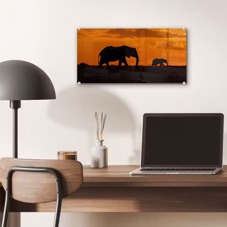Glas schilderij - Olifanten - Savanne - Zonsondergang — 7