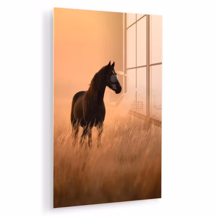 Glas schilderij - Paard - Grasveld - Zonsondergang — 1