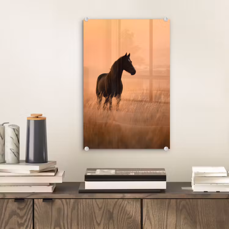 Glas schilderij - Paard - Grasveld - Zonsondergang — 2