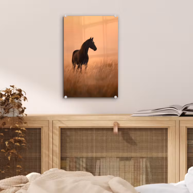 Glas schilderij - Paard - Grasveld - Zonsondergang — 5
