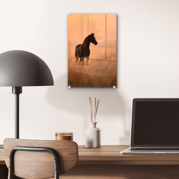 Glas schilderij - Paard - Grasveld - Zonsondergang — 7