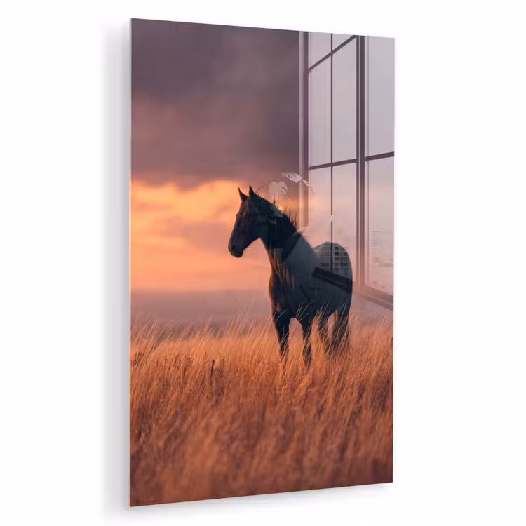 Glas schilderij - Paard - Wolken - Open veld — 1