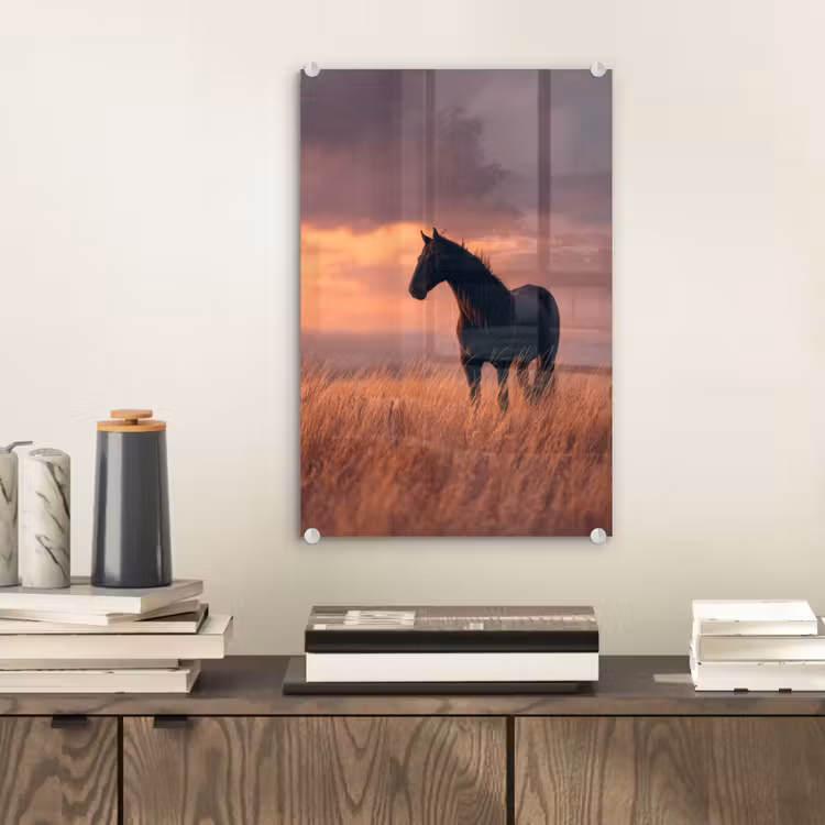 Glas schilderij - Paard - Wolken - Open veld — 2