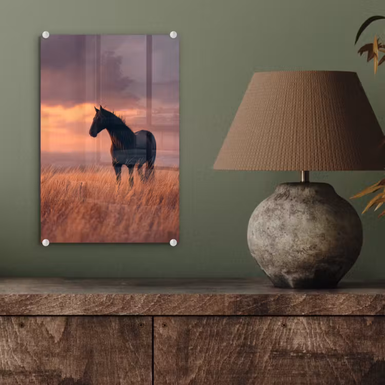 Glas schilderij - Paard - Wolken - Open veld — 4