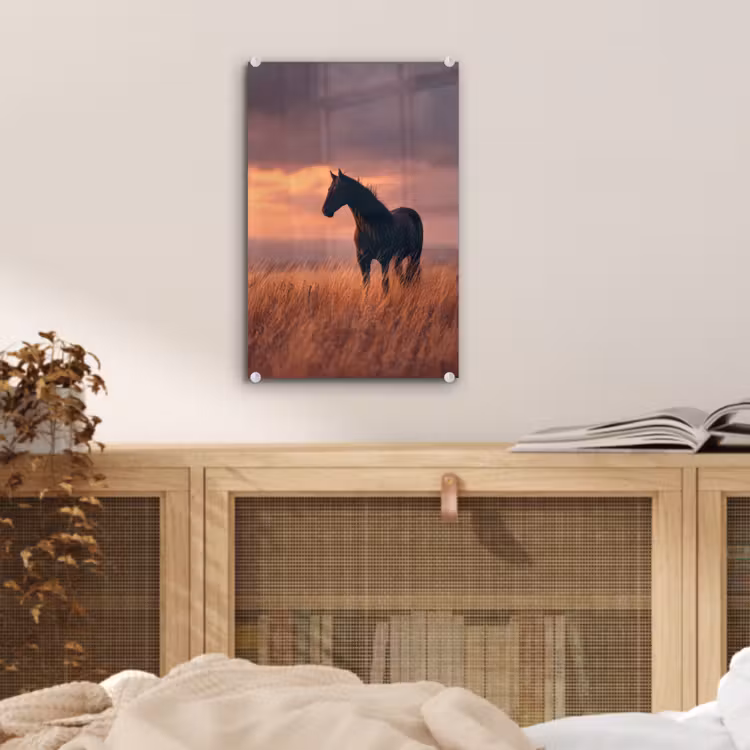 Glas schilderij - Paard - Wolken - Open veld — 5