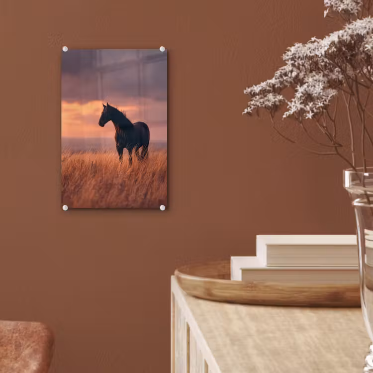 Glas schilderij - Paard - Wolken - Open veld — 6