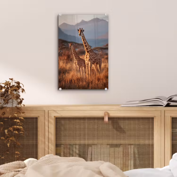 Glas schilderij - Giraffen - Hoog gras - Acaciabomen — 5