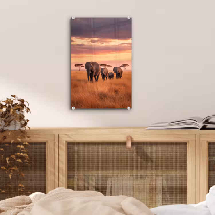 Glas schilderij - Groep olifanten - Open vlakte - Zon — 5