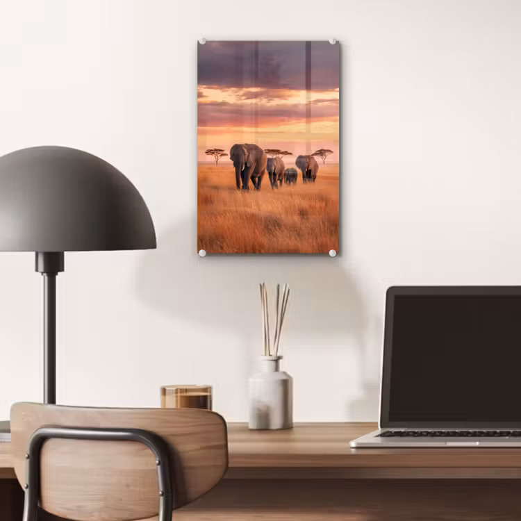 Glas schilderij - Groep olifanten - Open vlakte - Zon — 7