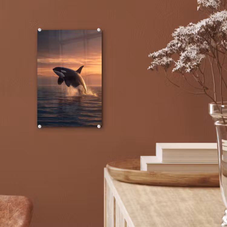 Glas schilderij - Orka - Zee - Zonsondergang — 6