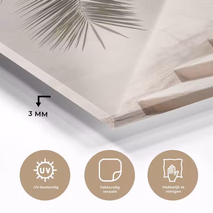 Glas schilderij - Palmboom - Schaduw - Trap - Beige — 3