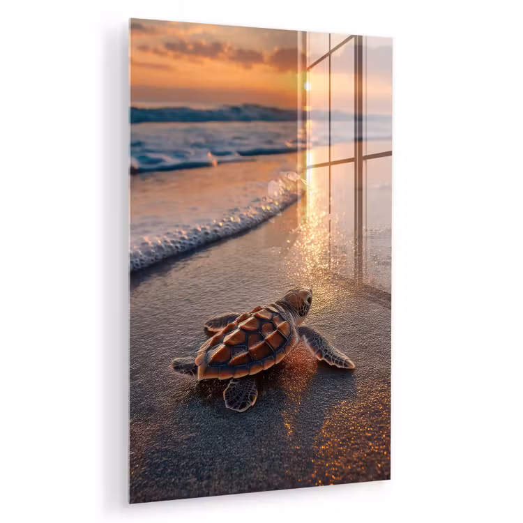 Glas schilderij - Schildpad - strand - Zonsondergang — 1