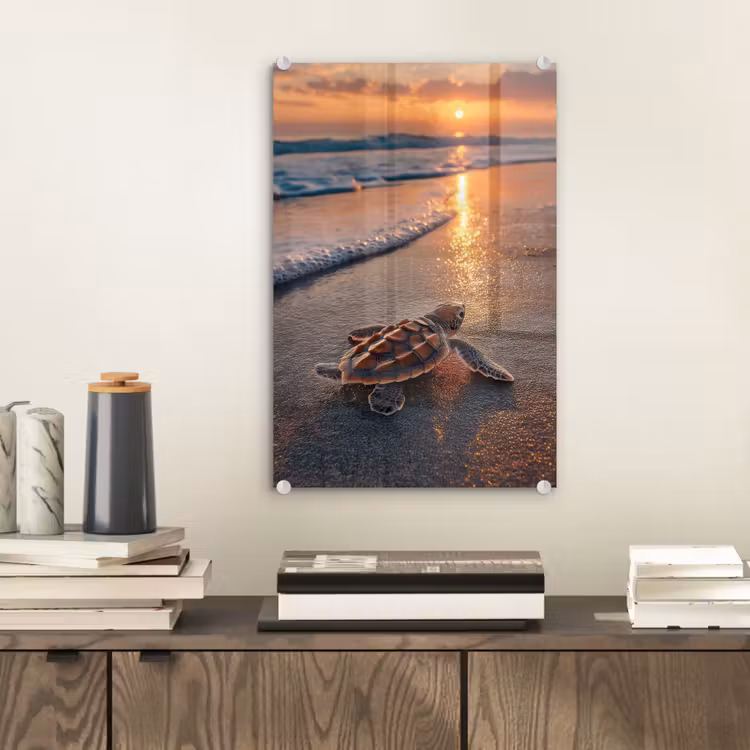 Glas schilderij - Schildpad - strand - Zonsondergang — 2