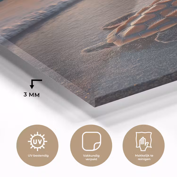 Glas schilderij - Schildpad - strand - Zonsondergang — 3