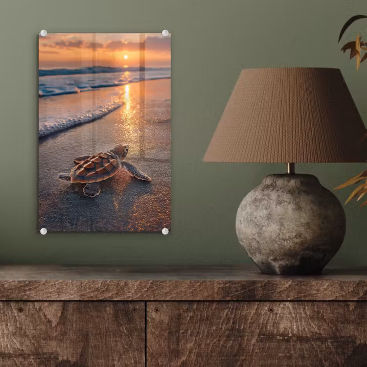 Glas schilderij - Schildpad - strand - Zonsondergang — 4