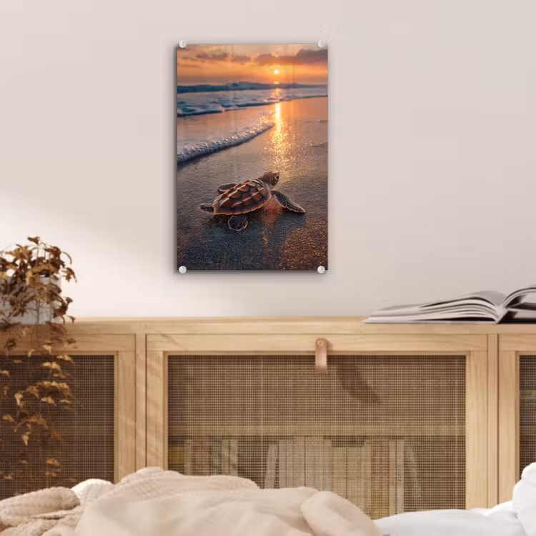 Glas schilderij - Schildpad - strand - Zonsondergang — 5