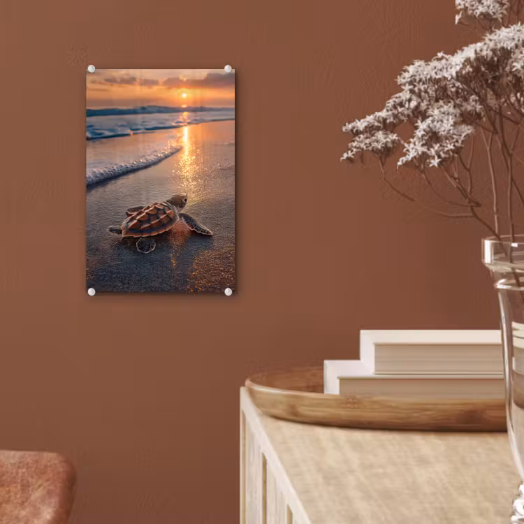 Glas schilderij - Schildpad - strand - Zonsondergang — 6