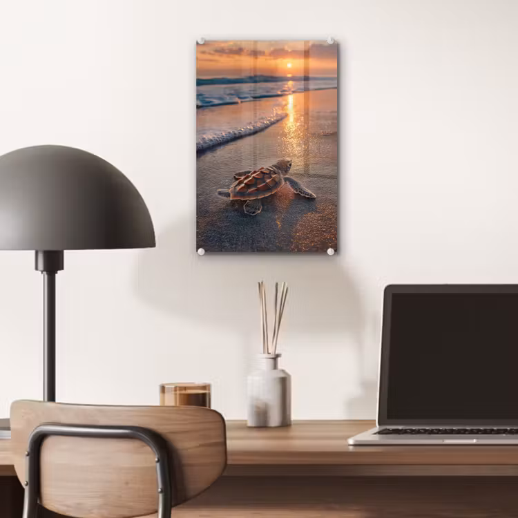 Glas schilderij - Schildpad - strand - Zonsondergang — 7