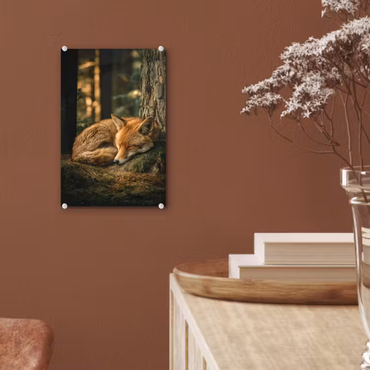 Glas schilderij - Vos - Bos - Slapen — 6