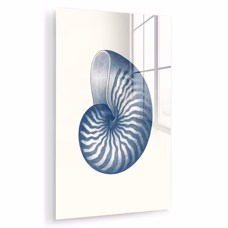 Glas schilderij - Blauw - Schelp - Spiraal — 1