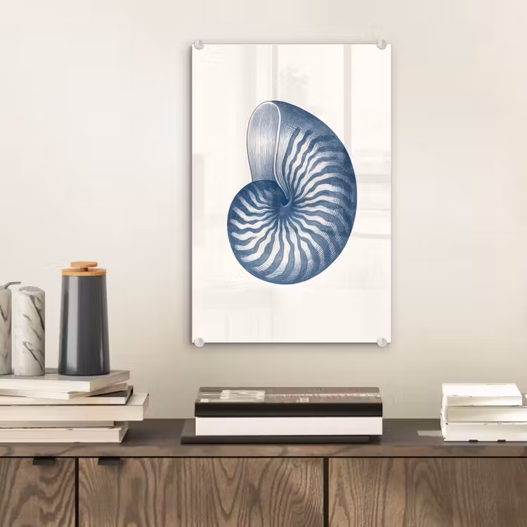 Glas schilderij - Blauw - Schelp - Spiraal — 2