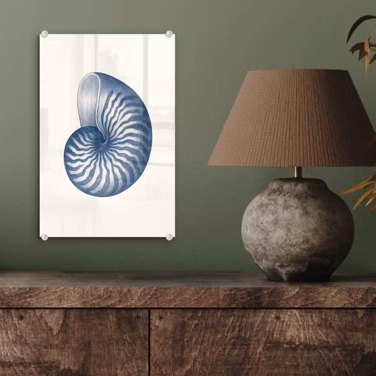Glas schilderij - Blauw - Schelp - Spiraal — 4
