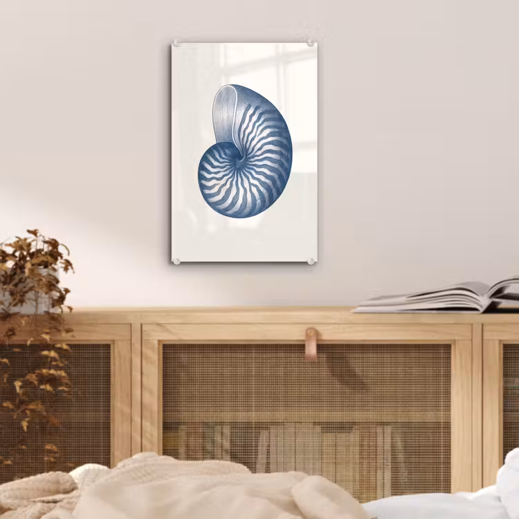 Glas schilderij - Blauw - Schelp - Spiraal — 5