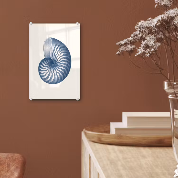 Glas schilderij - Blauw - Schelp - Spiraal — 6