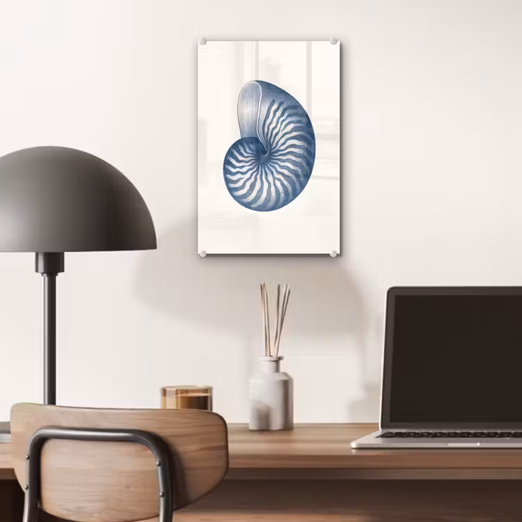 Glas schilderij - Blauw - Schelp - Spiraal — 7