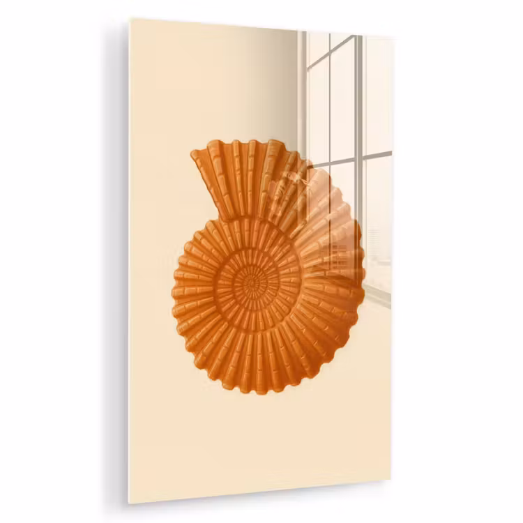 Glas schilderij - Schelp - Oranje - Ribbels — 1