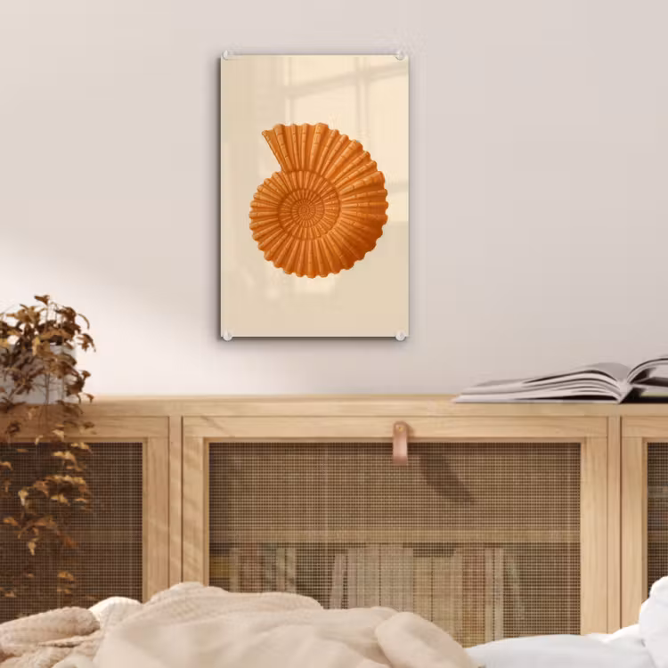 Glas schilderij - Schelp - Oranje - Ribbels — 5