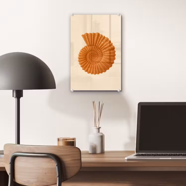 Glas schilderij - Schelp - Oranje - Ribbels — 7