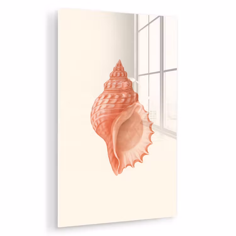 Glas schilderij - Schelp - Roze - Structuur — 1